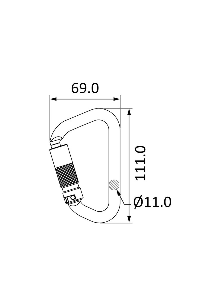 1729517360-81521400.jpg
