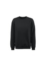 Printer Softball RSX Sweatshirt 2262048