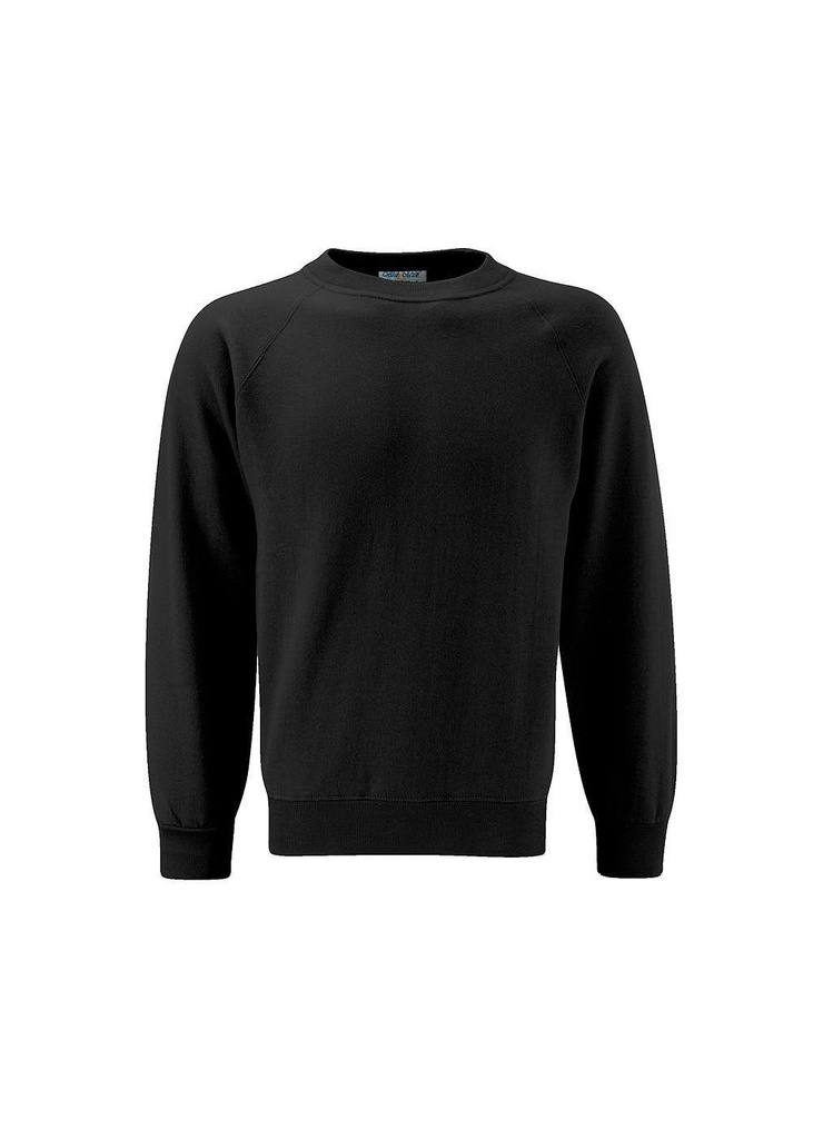 Blue Max Banner Select Raglan Crew Neck Sweatshirt 3SR