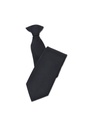Disley Plain Polyester Classic Clip On Tie DS_TC105