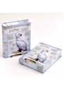Harry Potter Tin Advent Calendar