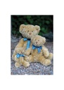 Mumbles Bracken Bear MM001