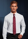 Premier Club Strip Tie PR786